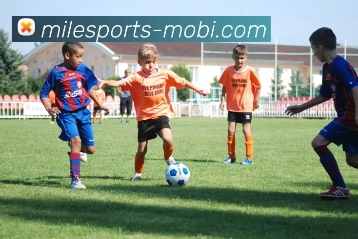 App Interface Preview