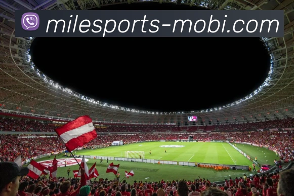 米乐体育APP 封面图